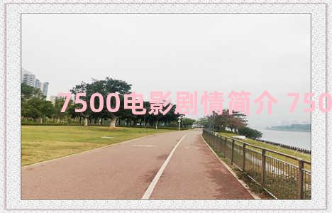 7500电影剧情简介 7500 电影